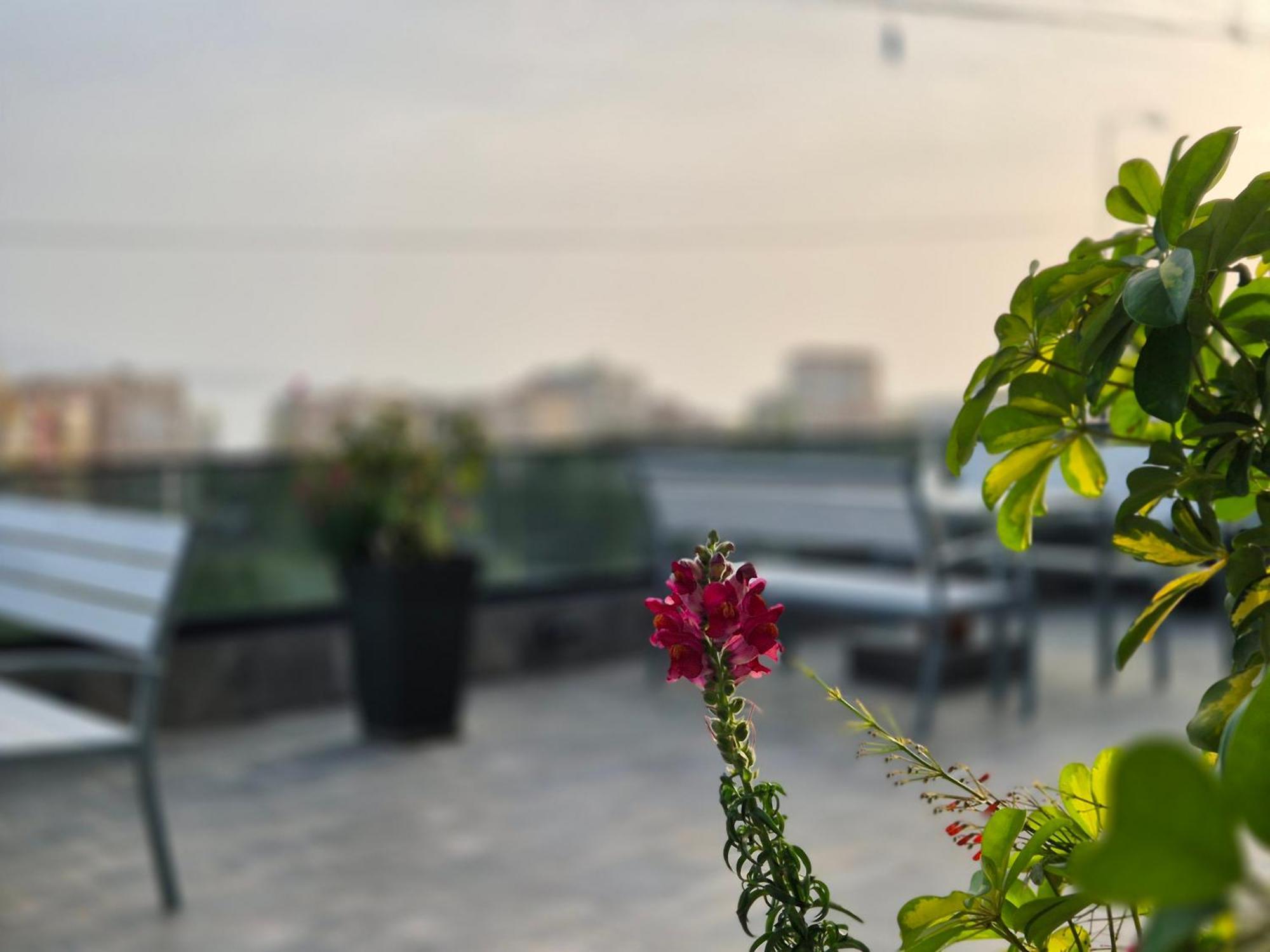 סרנדה Flore Rooms מראה חיצוני תמונה